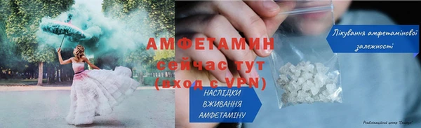 индика Апатиты