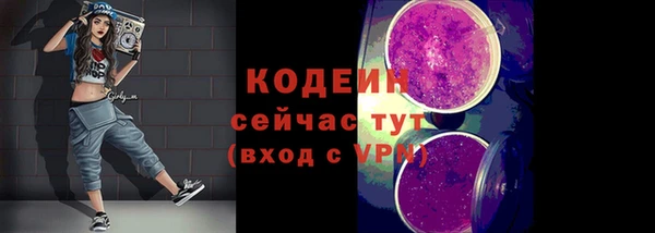 индика Апатиты