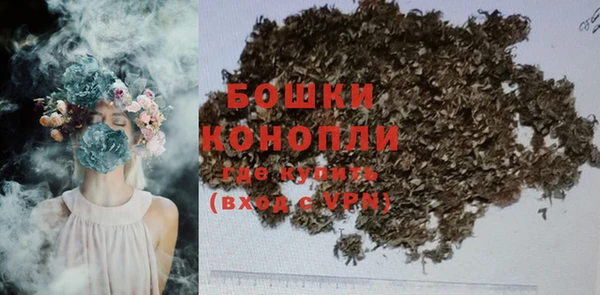 индика Апатиты