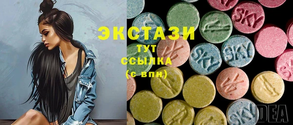 индика Апатиты
