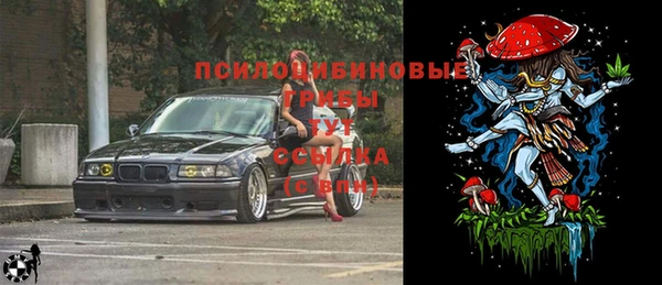 стафф Медвежьегорск