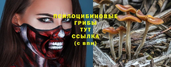 индика Апатиты
