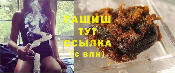 индика Апатиты