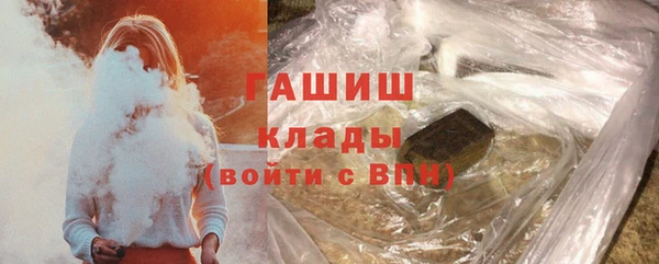индика Апатиты