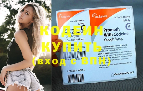 индика Апатиты